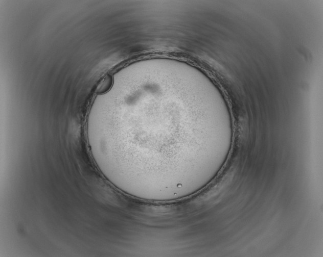 X0000113741257200910140956