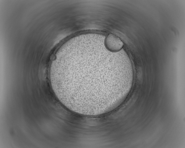 X0000113741258200910140956