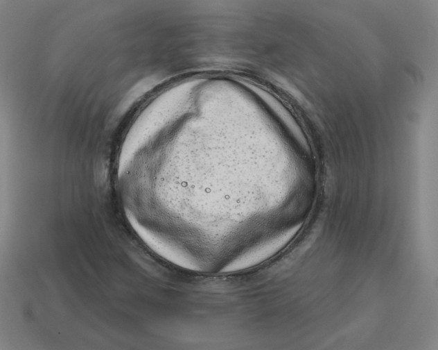 X0000113741259200910140956