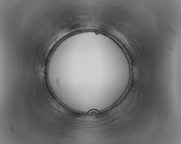 X0000113741260200910140956