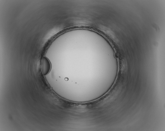 X0000113741261200910140956