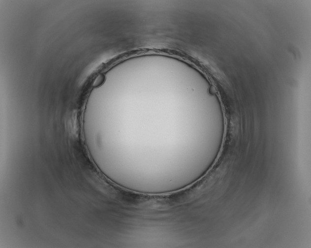 X0000113741262200910140956