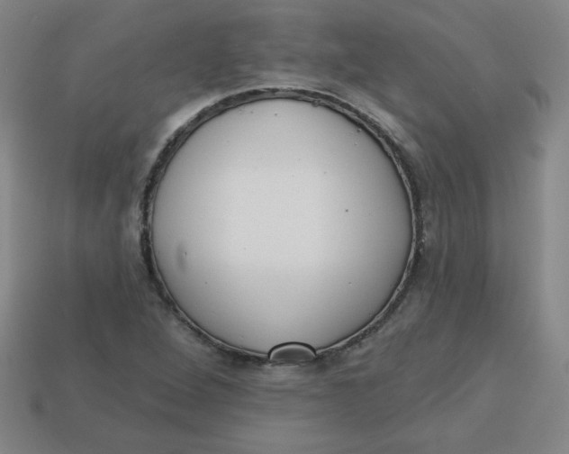 X0000113741264200910140956