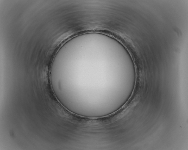 X0000113741265200910140956