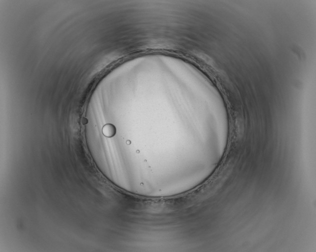 X0000113741266200910140956