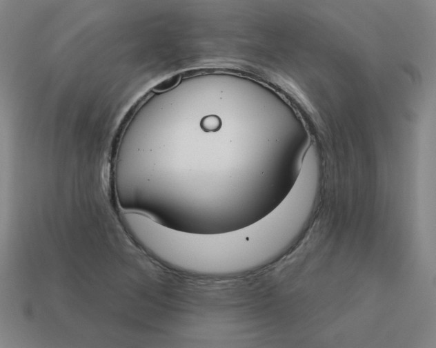 X0000113741268200910140956