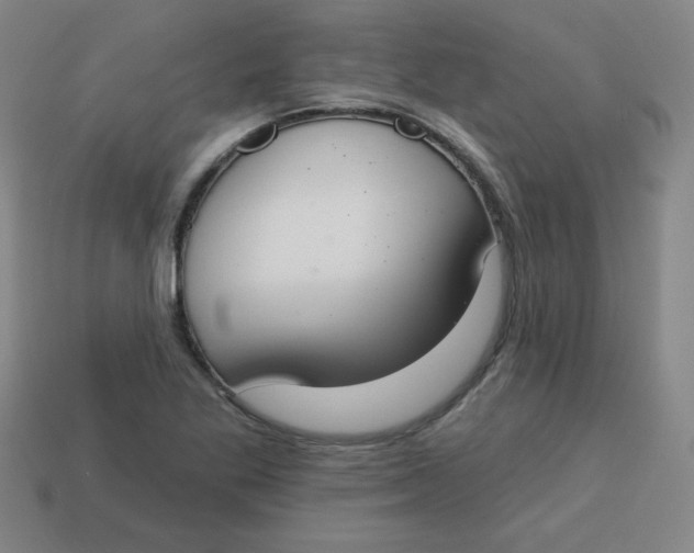 X0000113741269200910140956