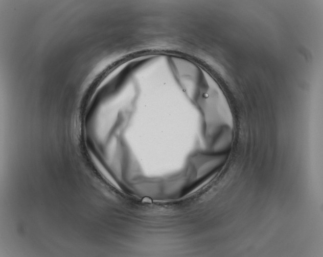 X0000113741270200910140956