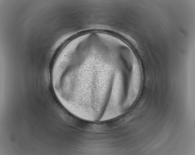 X0000113741271200910140956