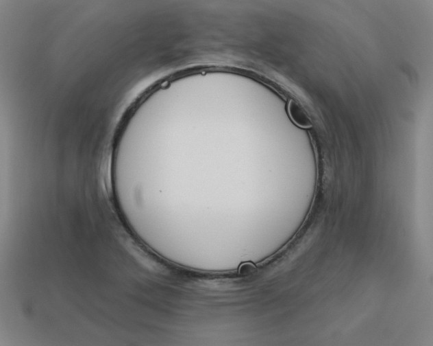 X0000113741272200910140956