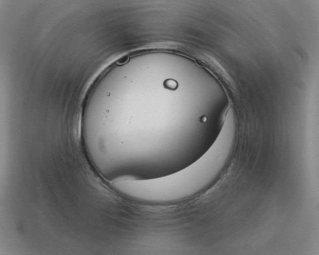 X0000113741276200910140956