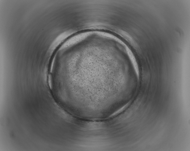 X0000113741277200910140956