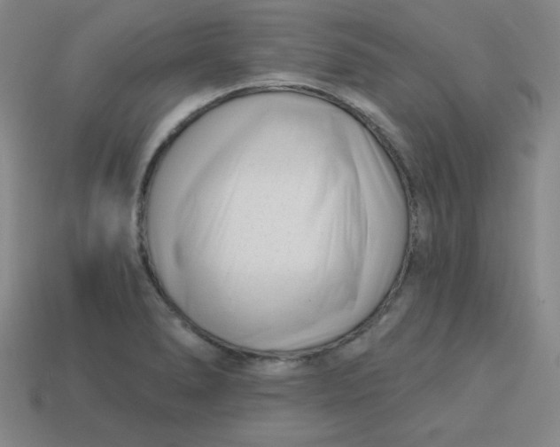 X0000113741278200910140956