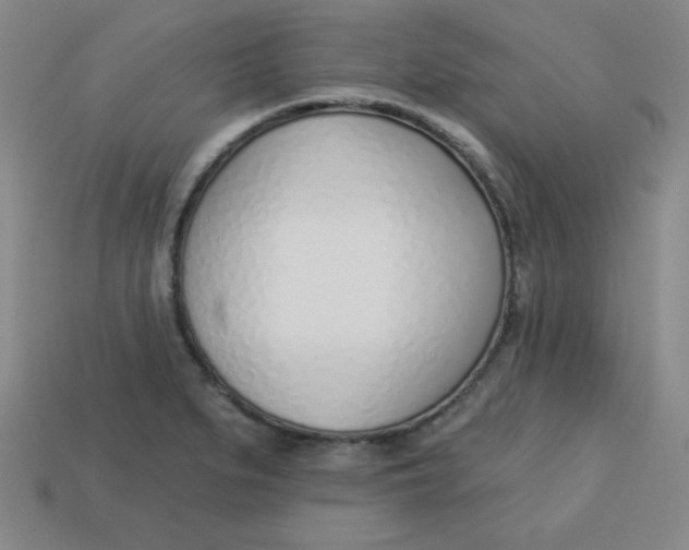 X0000113741279200910140956