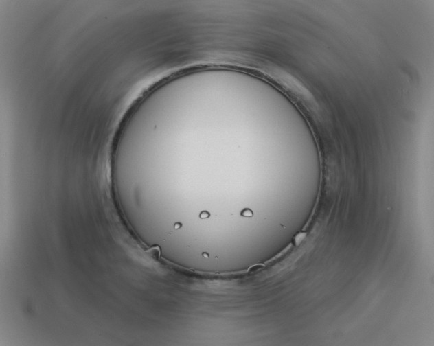 X0000113741280200910140956