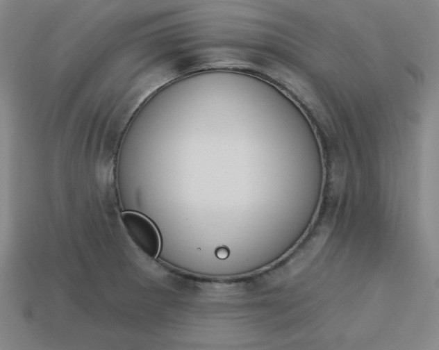 X0000113741281200910140956