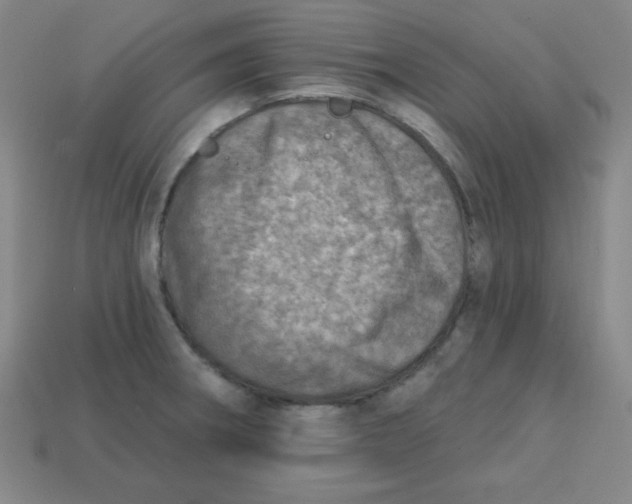 X0000113741282200910140956