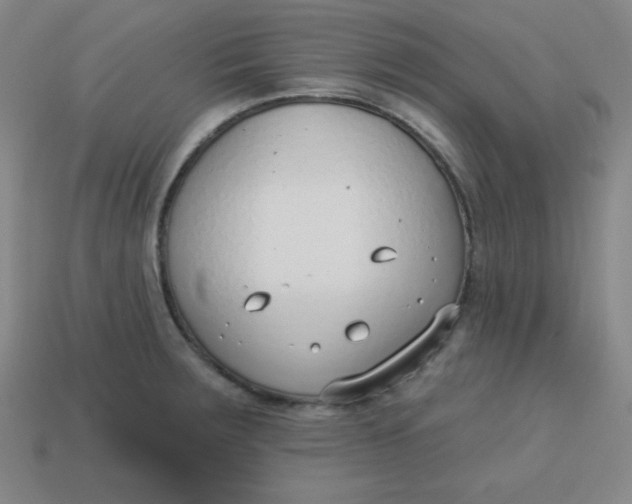 X0000113741283200910140956