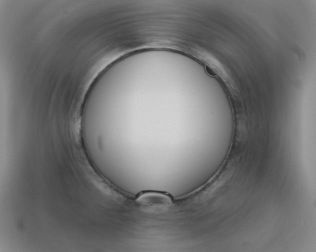 X0000113741284200910140956