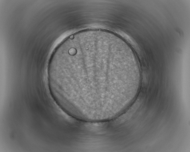 X0000113741286200910140956