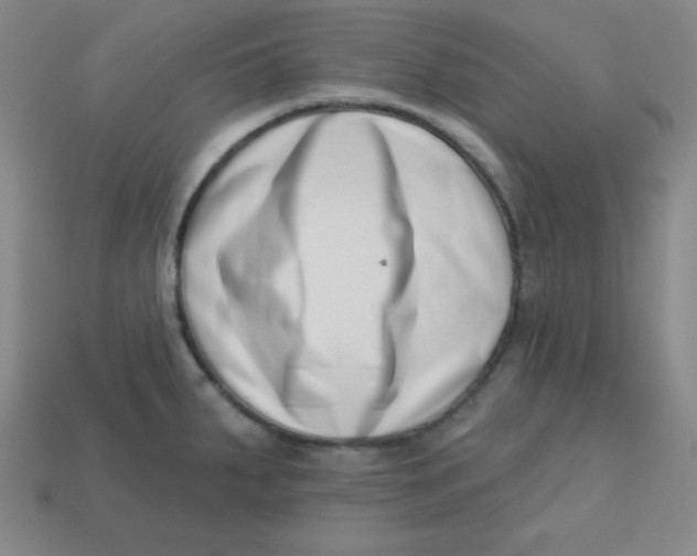 X0000113741287200910140956