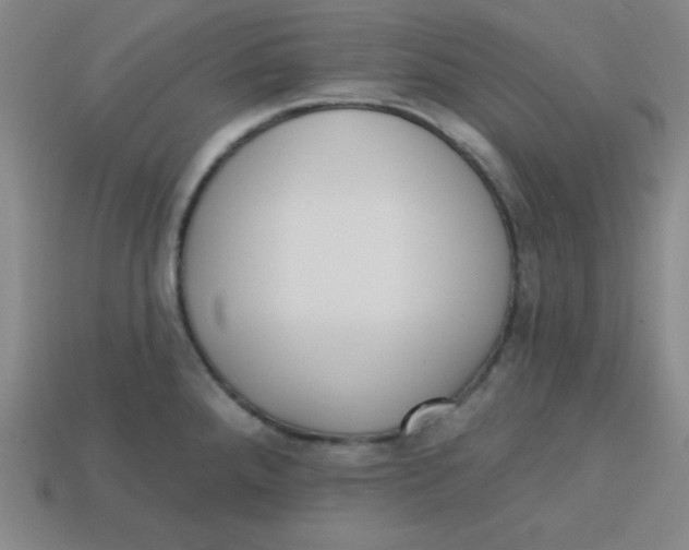 X0000113741288200910140955