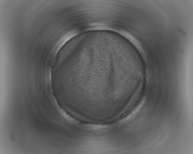 X0000113741289200910140955