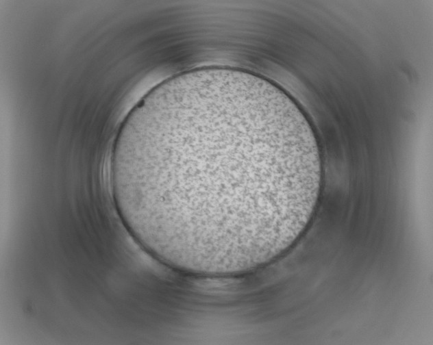 X0000113741290200910140955