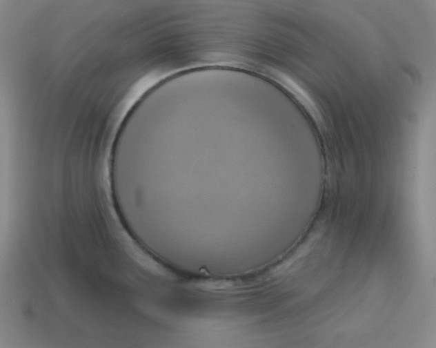 X0000113741291200910140955