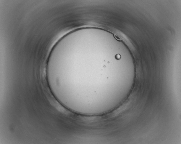 X0000113741292200910140955