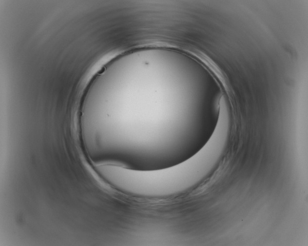 X0000113741293200910140955