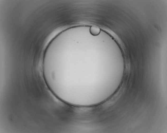 X0000113741294200910140955