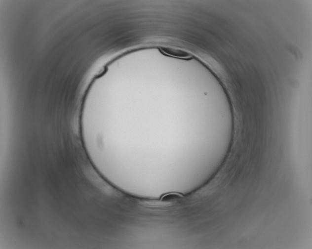 X0000113741296200910140955