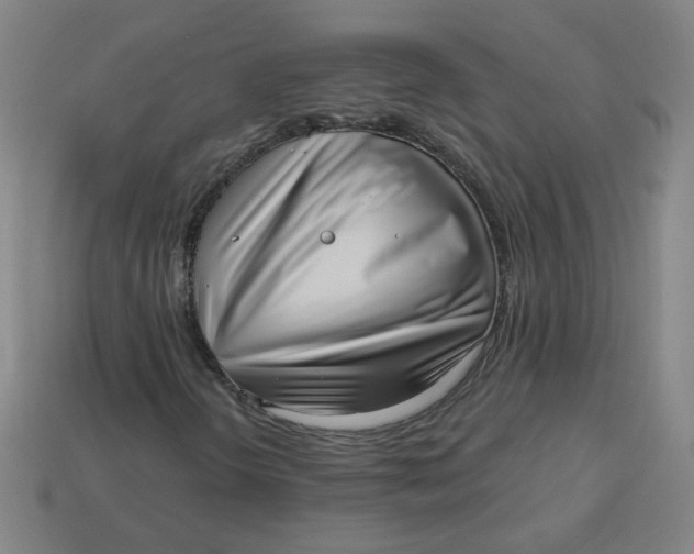 X0000113741298200910140955