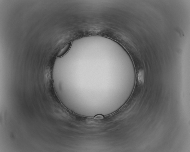 X0000113741299200910140955