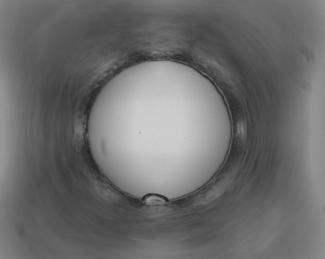 X0000113741300200910140955