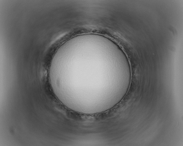 X0000113741302200910140955