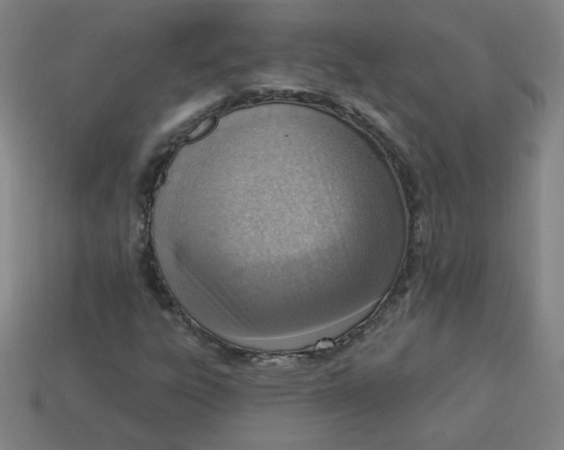 X0000113741303200910140955