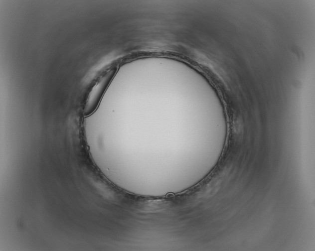 X0000113741304200910140955