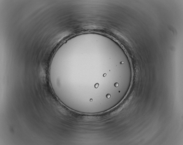 X0000113741305200910140955