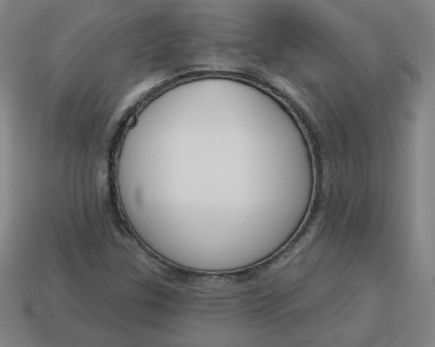 X0000113741307200910140955