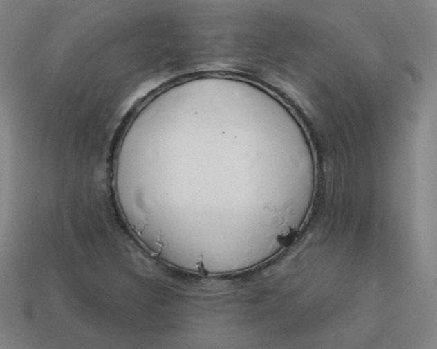 X0000113741308200910140955