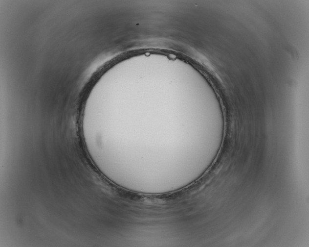 X0000113741312200910140955