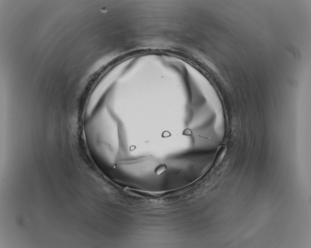 X0000113741315200910140955