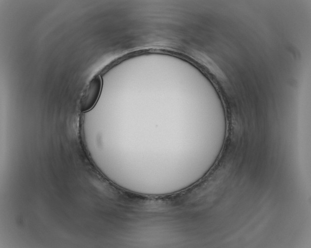 X0000113741316200910140955