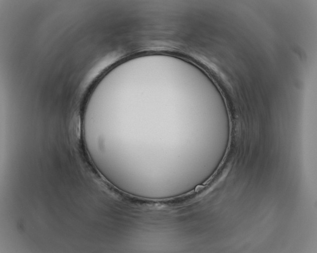 X0000113741317200910140955