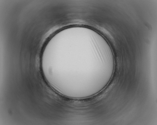 X0000113741318200910140955