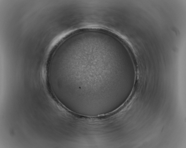 X0000113741319200910140955