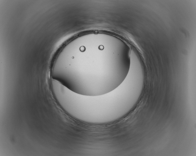 X0000113741320200910140955