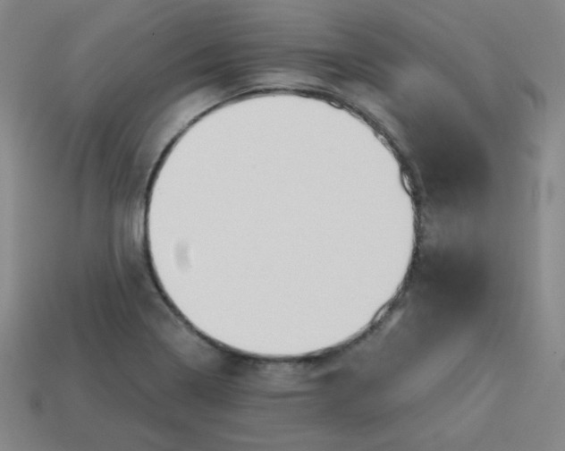 X0000113741322200910140955